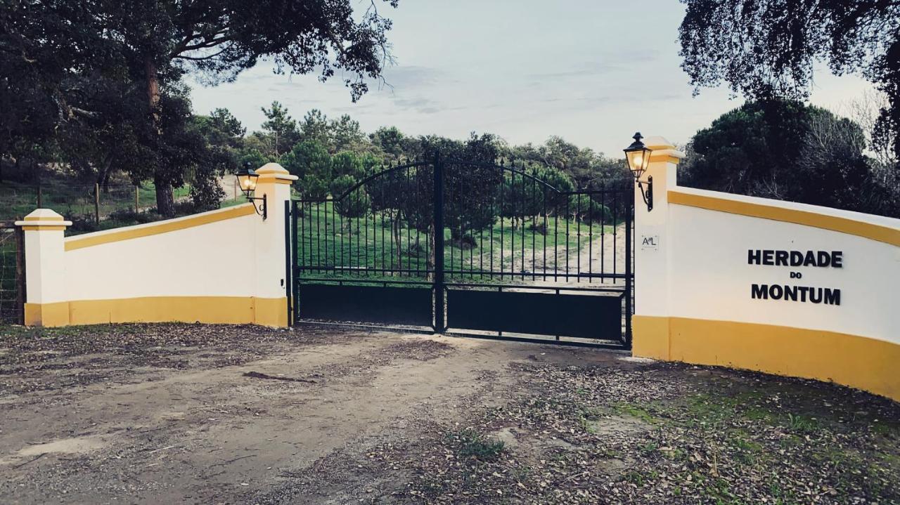 Montum Farm Living Vendégház Melides Kültér fotó