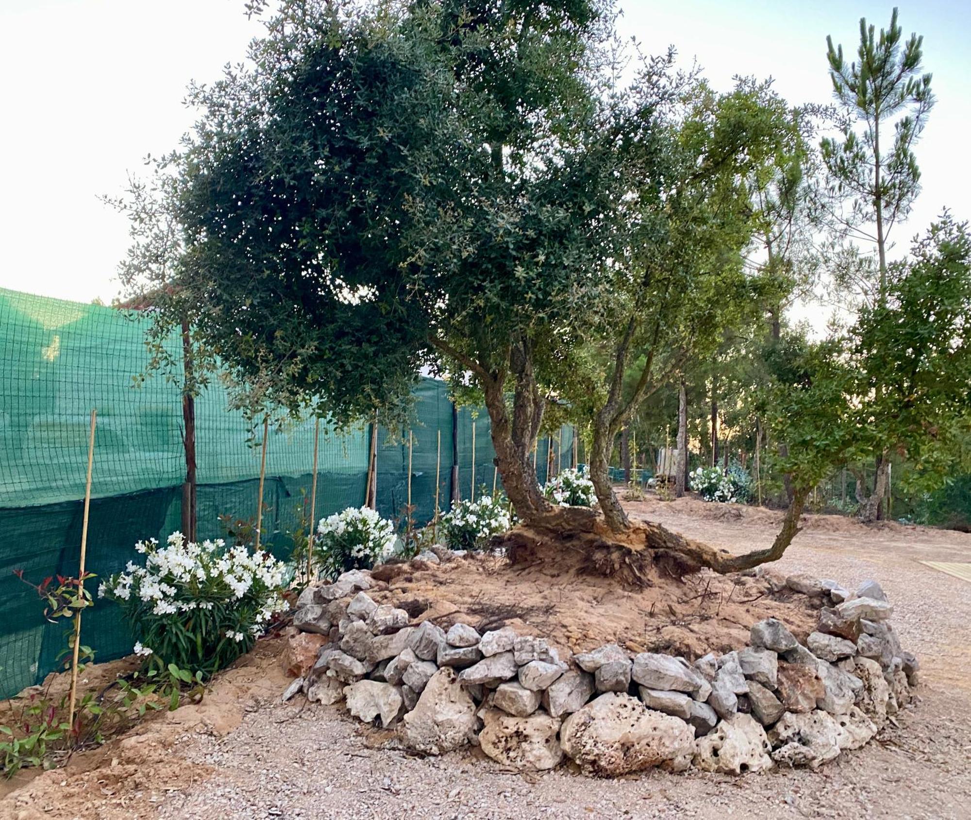 Montum Farm Living Vendégház Melides Kültér fotó