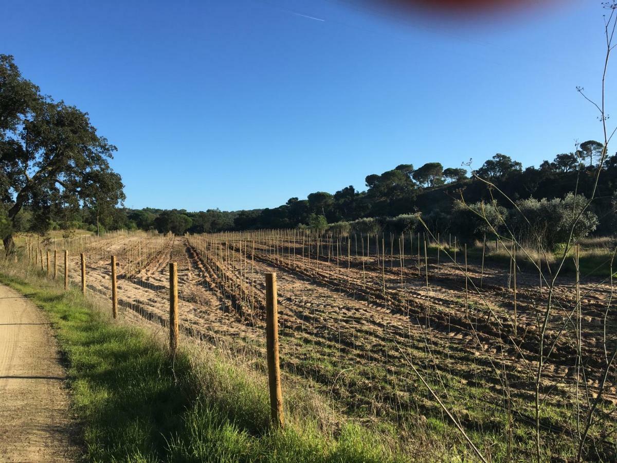 Montum Farm Living Vendégház Melides Kültér fotó